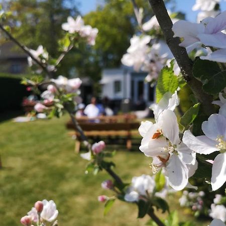 B&B De Koffietuin Beekbergen Dış mekan fotoğraf