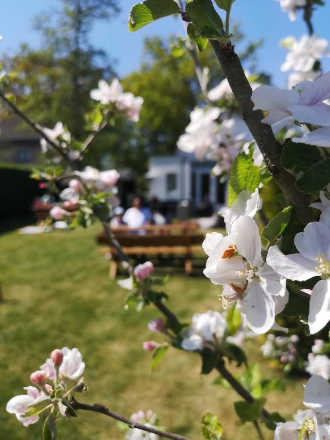 B&B De Koffietuin Beekbergen Dış mekan fotoğraf